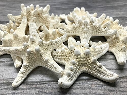 100 Tiny Real Star Fish Starfish .5-1.5 Dried Flat for Crafts & Coastal  Décor Orange Oriental Sugar 