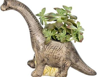 Animal Planter Succulents - Animal Pot for Plants - Succulent Ceramic Planter