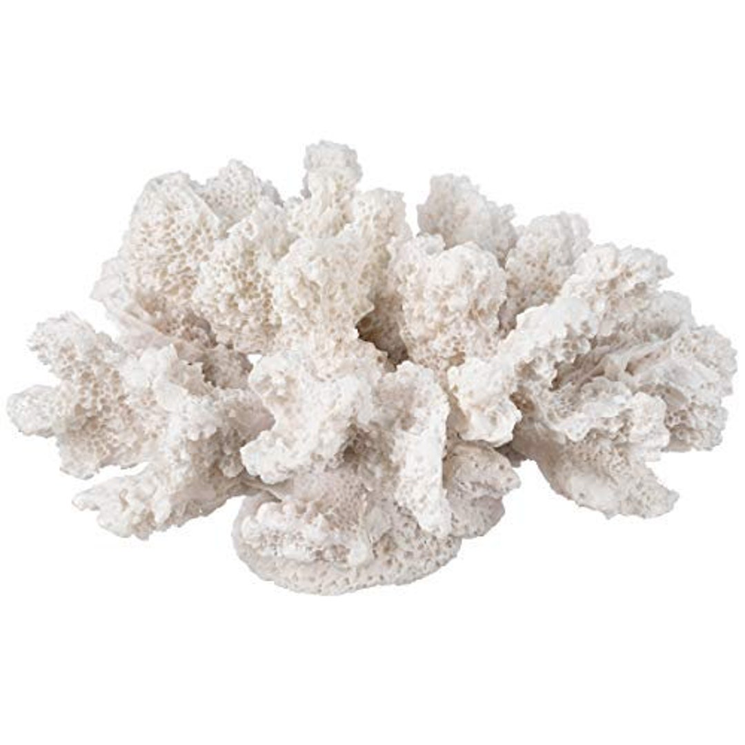 Decorative Sea Coral 4x3.5x2.5in Coral Reef Decor Small White Coral