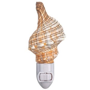 May include: A seashell night light with a white cord and switch. The seashell is brown and white with a striped pattern.