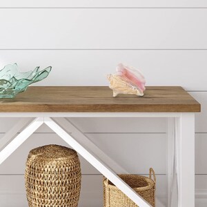 Conch Sea Shell | Garden Quality 6"-8" Conch Shell | Imperfect Conch ...