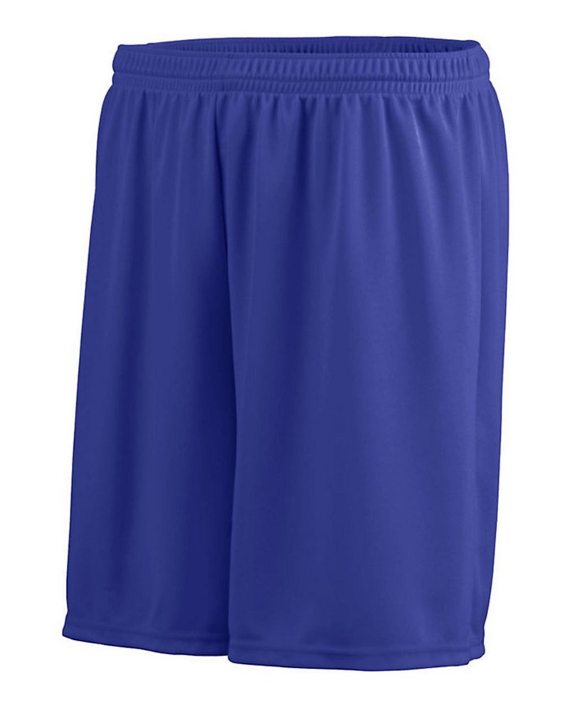 May include: Royal blue athletic shorts with a drawstring waistband.