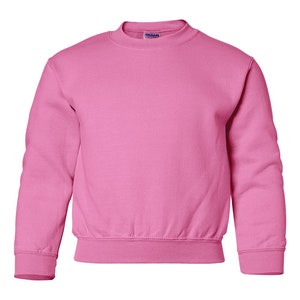May include: A pink crew neck sweatshirt with long sleeves.