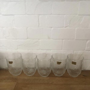 Vintage Luminarc Arcoroc Etched Lemonade Tumblers 8oz France