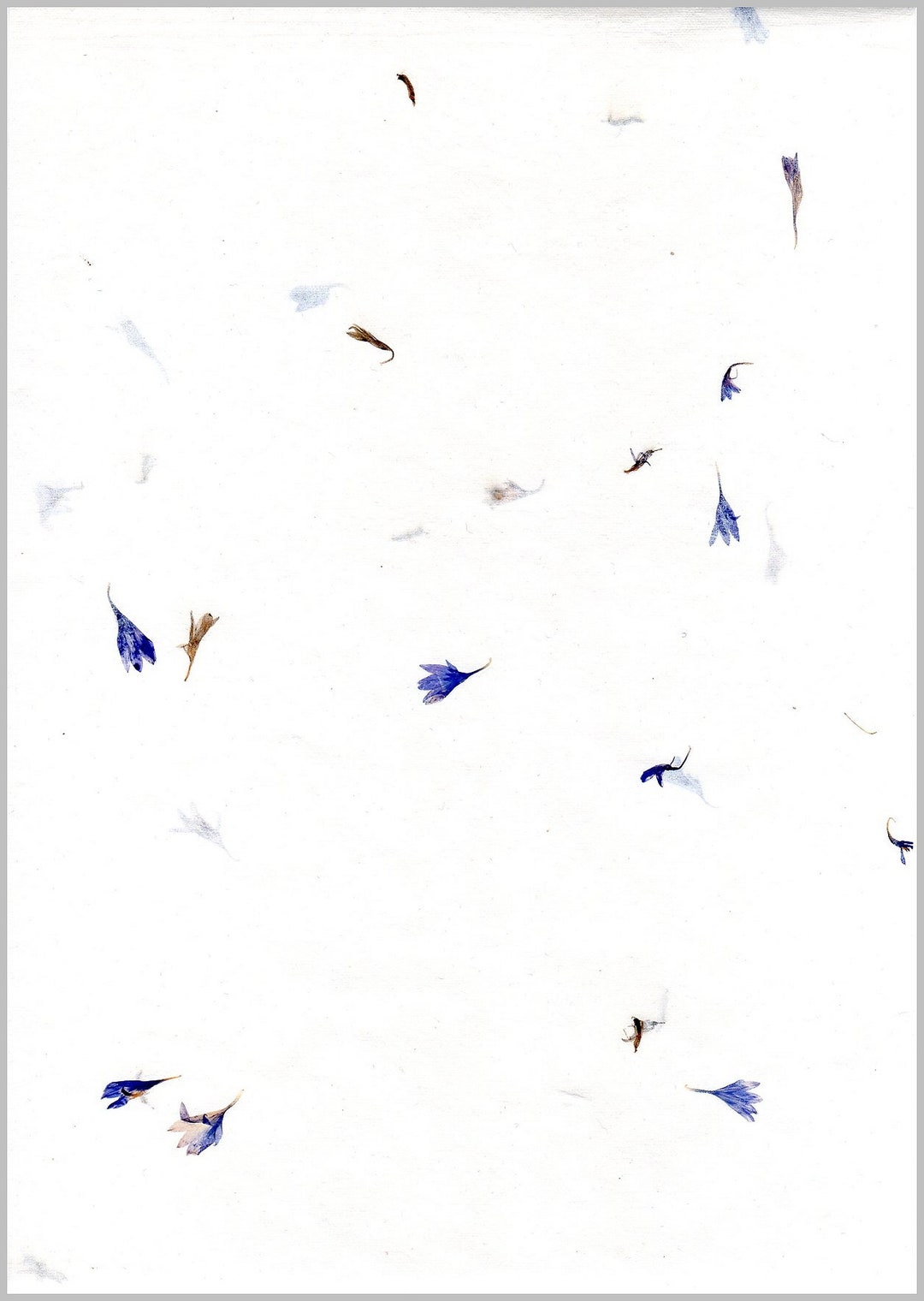 Cornflower Paper > Love Letter Paper