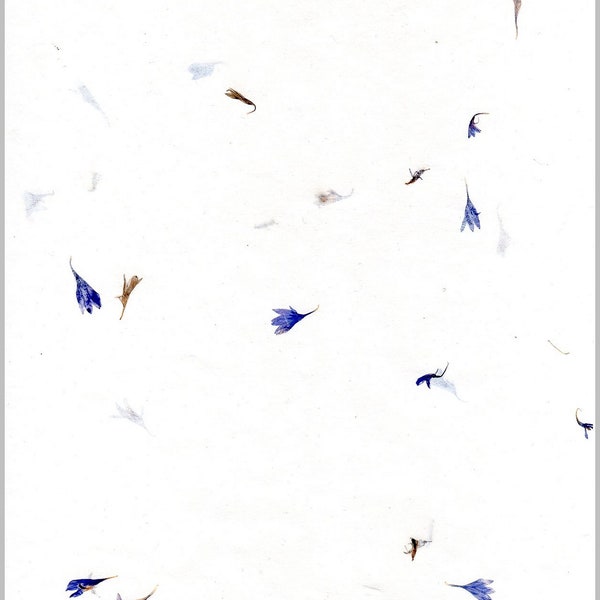 cornflower paper > love letter paper < handmade 40 sheet A4 size with real cornflower blossoms