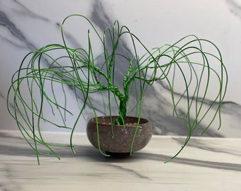Bonsai Willow in Wire