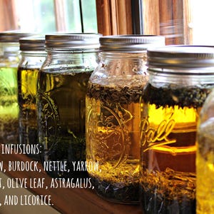 K&ouml;nnte beinhalten: Eine Reihe von Gl&auml;sern mit Kr&auml;uteraufg&uuml;ssen, darunter Eibisch und Klette, steht auf einem Holzregal. Die Gl&auml;ser sind mit "Solar Herbal Infusions" beschriftet. Das Bild enth&auml;lt auch den Text "Pickle's potions & lotions."