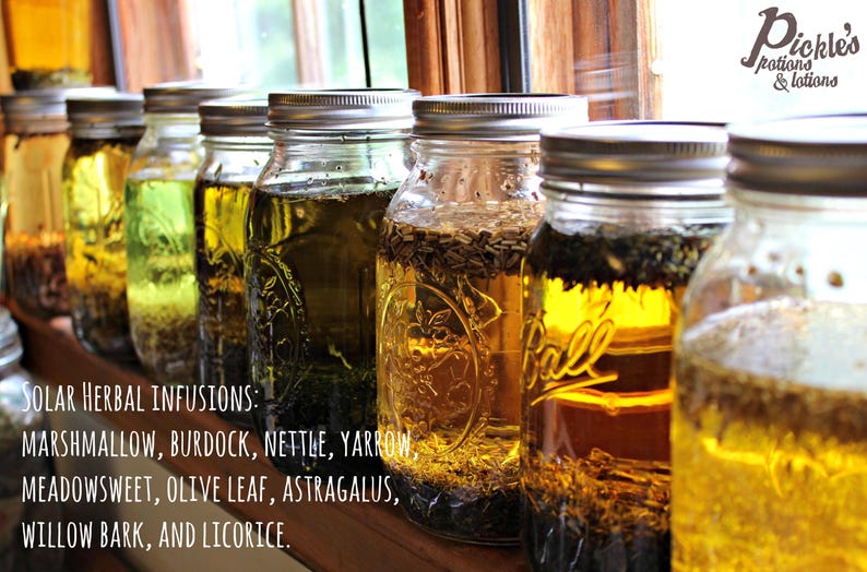 K&ouml;nnte beinhalten: Eine Reihe von Gl&auml;sern mit Kr&auml;uteraufg&uuml;ssen, darunter Eibisch und Klette, steht auf einem Holzregal. Die Gl&auml;ser sind mit "Solar Herbal Infusions" beschriftet. Das Bild enth&auml;lt auch den Text "Pickle's potions & lotions."