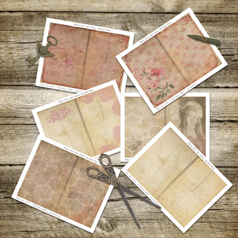 May include: Six vintage journal pages with a distressed, aged look. Each page features a different design, including floral patterns, honeycomb patterns, and a bee. The pages are titled "Polka Dots and Lace Journal Paper".