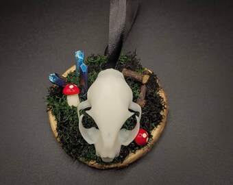Cat Skull Ornament with 3D Printed Skull, Christmas Ornament, Yule Ornament, Ethical Taxidermy