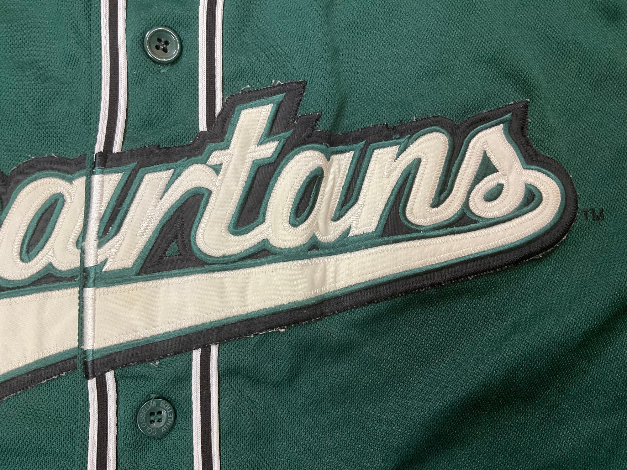 Michigan State Spartans Baseball Jersey