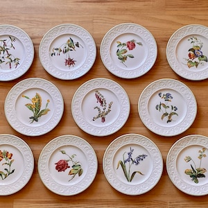 Copeland Spode England Botanical Plates 9 3/8&quot; Set of 11