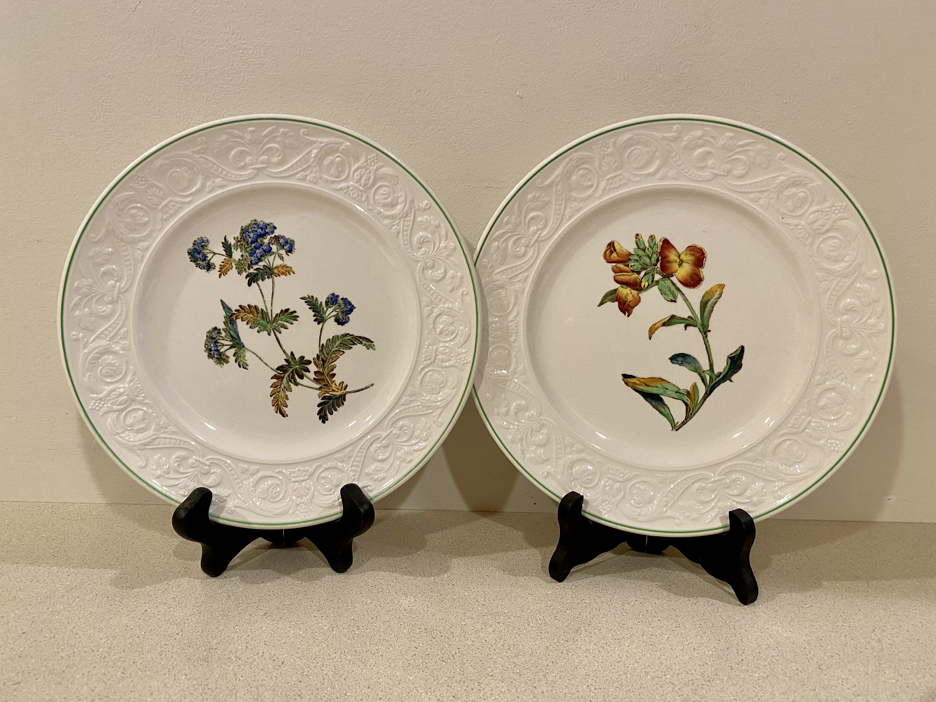 Copeland Spode ITALIAN 八角プレート 21cm 英国製 Copeland Spode England Botanical Plates 9 3/8