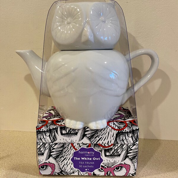 Owl Teapot Etsy