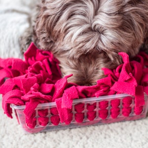 May include: A brown and white dog is sniffing a pink fleece toy in a clear plastic container. The container is filled with pink fleece strips.