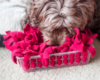 Jeu de réflexion en forme de boîte à priser pour chiens - Instructions IMPRIMABLES NUMÉRIQUE (PDF)
