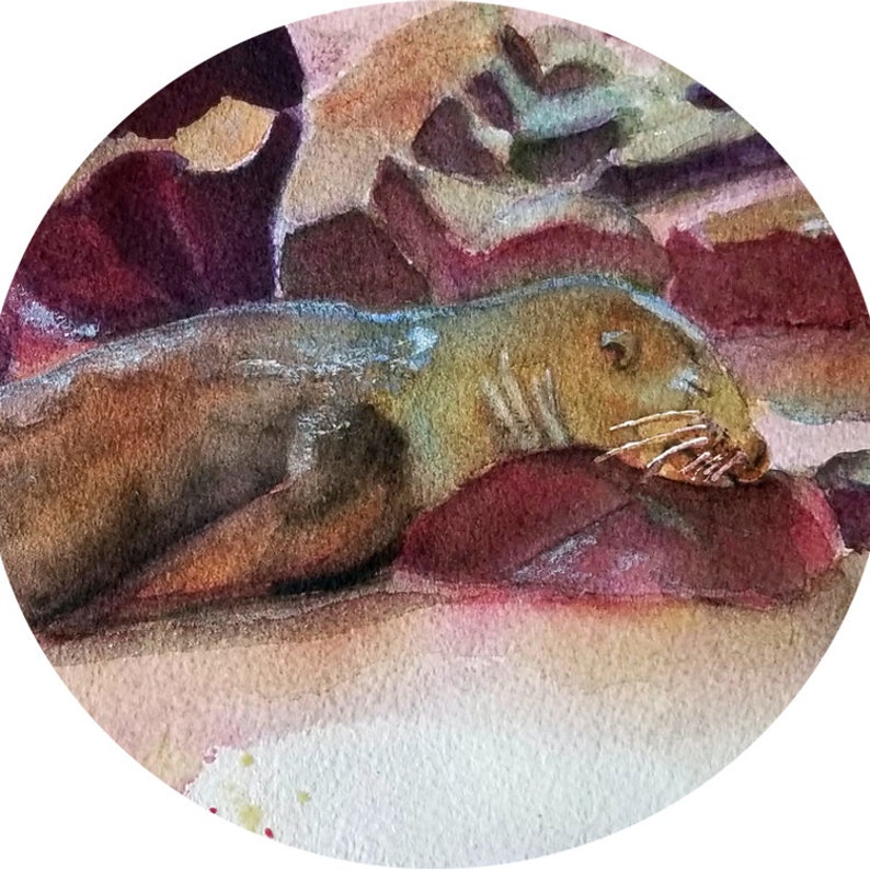 Galapagos Sea Lion Pup Painting Original Watercolor Art Giclee Prints Note Cards Glass Magnet Canvas Wrap Free Shipping Carol Lytle #97