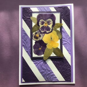 Cartão de saudação Pansy, cartão violeta, cartão de aniversário, cartão de casamento, cartão de aniversário, cartão de dia das mães, cartão de amor, cartão de planta, cartão de flor