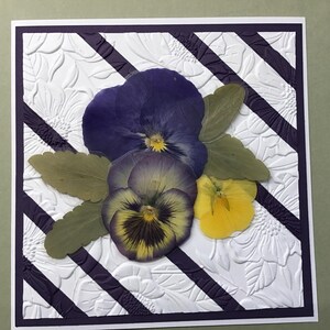 Carte de voeux vierge Pensée, Carte violette, Cartes de correspondance Pansy, SIGNET PANSY GRATUIT avec achat, Cadeaux Pansy, Cadeaux de fête des mères, Cadeaux de Pâques