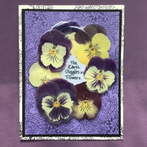 Cartão de amor-perfeito, cartão de nota de amor-perfeito, cartão de planta, cartão da natureza, cartão do dia das mães, cartão de Páscoa, cartão da primavera, cartão violeta, cartão de aniversário, cartão de agradecimento