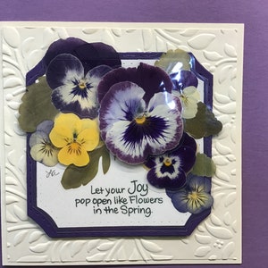 Inspirerende blanco kaart viooltje, echte geperste viooltjes, GRATIS BLOEWIJZER voor viooltje bij aankoop, notitiekaarten viooltje, verjaardagskaarten, trouwkaarten,