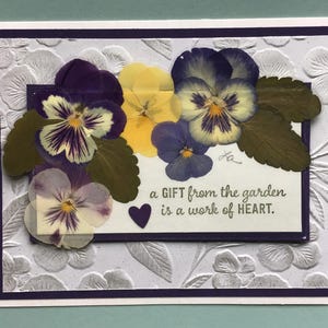 Carte pensée, carte cadeau pensée, carte d'anniversaire, carte de remerciement, carte d'encouragement, fleurs pressées, violettes, carte de fête des mères, carte de fête des pères