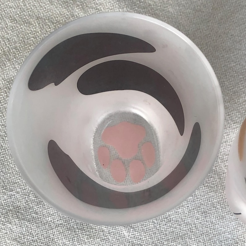 Aderia Coconeco Glasses