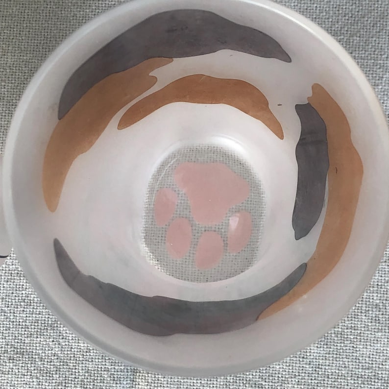 Aderia Coconeco Glasses - Thumbnail 2