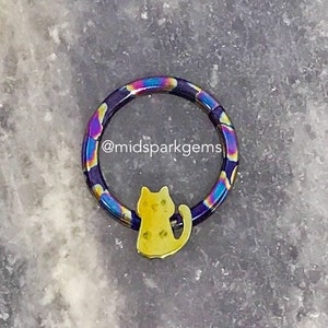 Petit chaton - Anneau à cliquet segmenté articulé en titane 16 g - 8 mm ou 10 mm - ASTM F136 nappe de pétrole anodisée arc-en-ciel de minuit ou autres couleurs