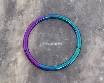 May include: A rainbow colored seamless ring made of surgical steel. The ring is a popular choice for nose, lip, or ear piercings.