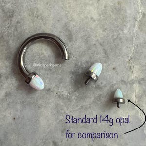May include: A close-up of three opal body jewelry pieces. The largest piece is a silver hoop with a white opal on the end. The other two pieces are smaller white opal studs. The text "Standard 14g opal for comparison" is written below the image.