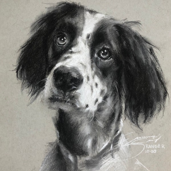 Custom Pet Portrait in charcoal, Mothers day gift, drawing of your pet, unique gift, pet memorial, personalized original art, by Emma Sims