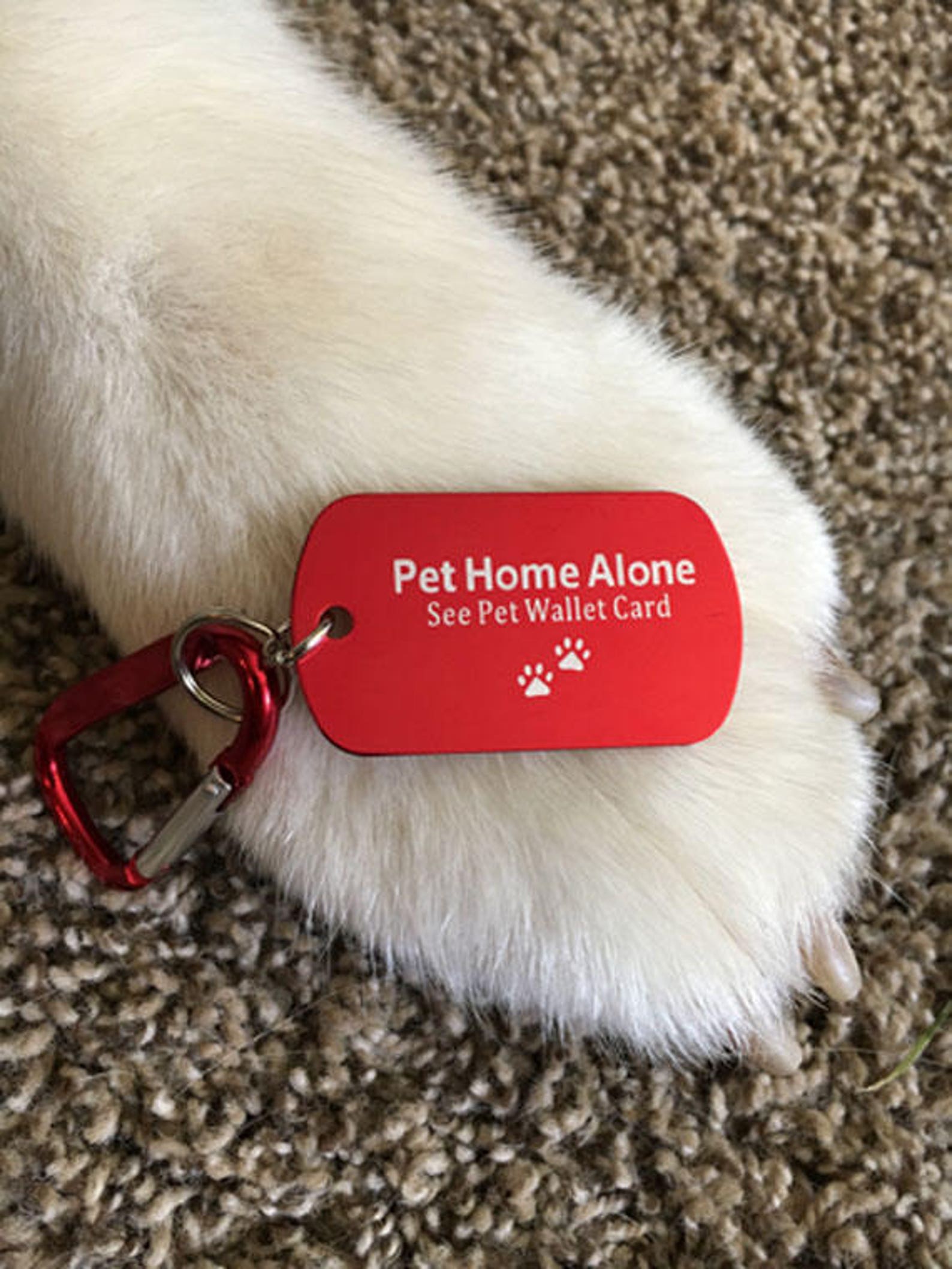 Pet Home Alone ID Tag/keychain with Carabiner Pet Emergency Etsy