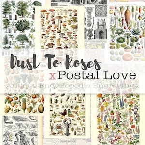 Antique Encyclopedia Engravings // Dust to Roses x Postal Love Collection // French Ephemera // Junk Journal // Beautiful Ephemera