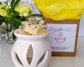 Beeswax Melts gift set - 100 Natural Beeswax melts - Wax melt gift set - Natural beeswax box- Gift set