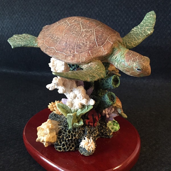 Sea Turtle over Coral