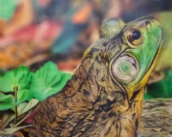 Frog Yoga - Original Encaustic & Mixed media