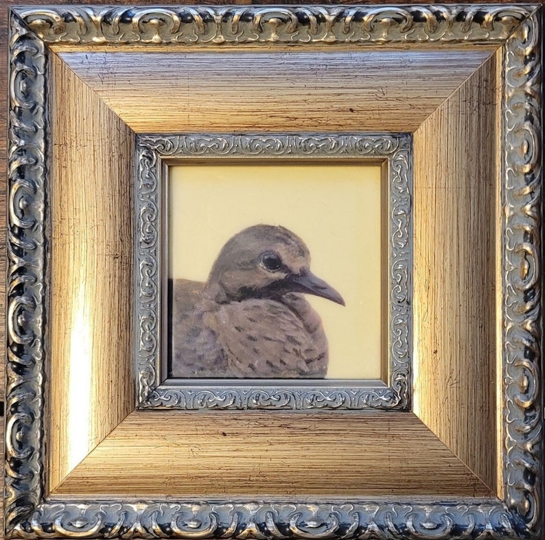 Mourning Dove 1 Original 9.5 x 9.5 Encaustic & Acrylic Painting image 1