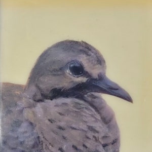 Mourning Dove 1 Original 9.5 x 9.5 Encaustic & Acrylic Painting image 2