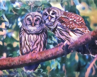 Owl Couple - Original Encaustic & Acrylic Painting