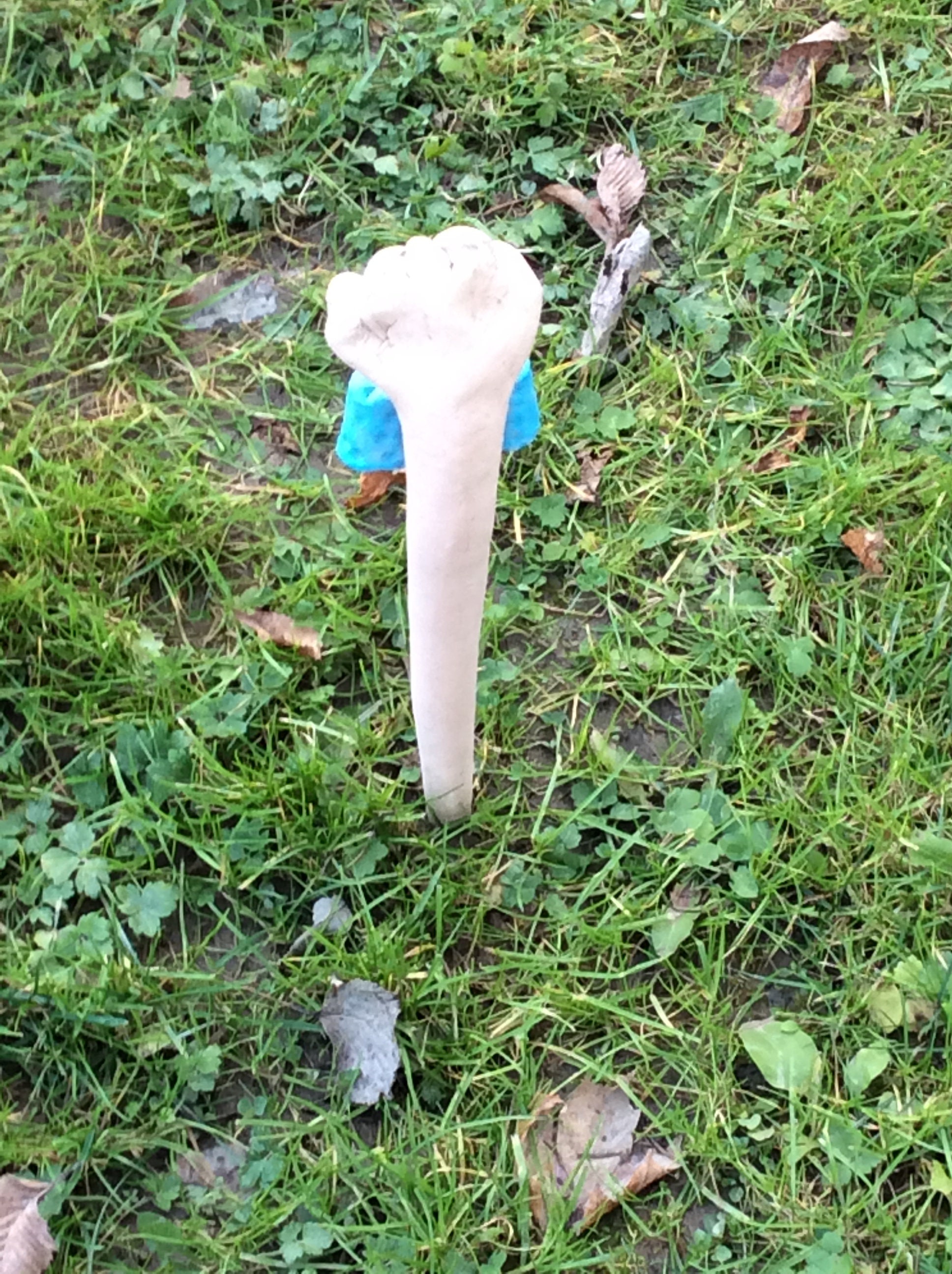 Gusano de jardín amenazante con pajarita azul | Etsy