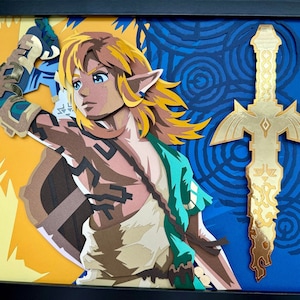Link - Tears of the Kingdom - 11x14 Shadowbox