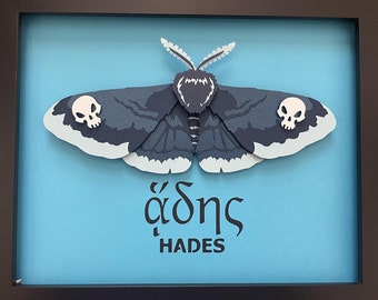 Hades Moth 8x10