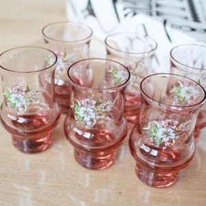 6 SHOT GLASSES Vintage/ 6 Color Shot Glasses with Floral Decal/ Vintage Drinks Serving/ Latvia