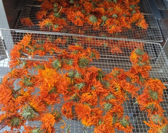 Calendula Flowers (Calendula officinalis), Dried, Organic