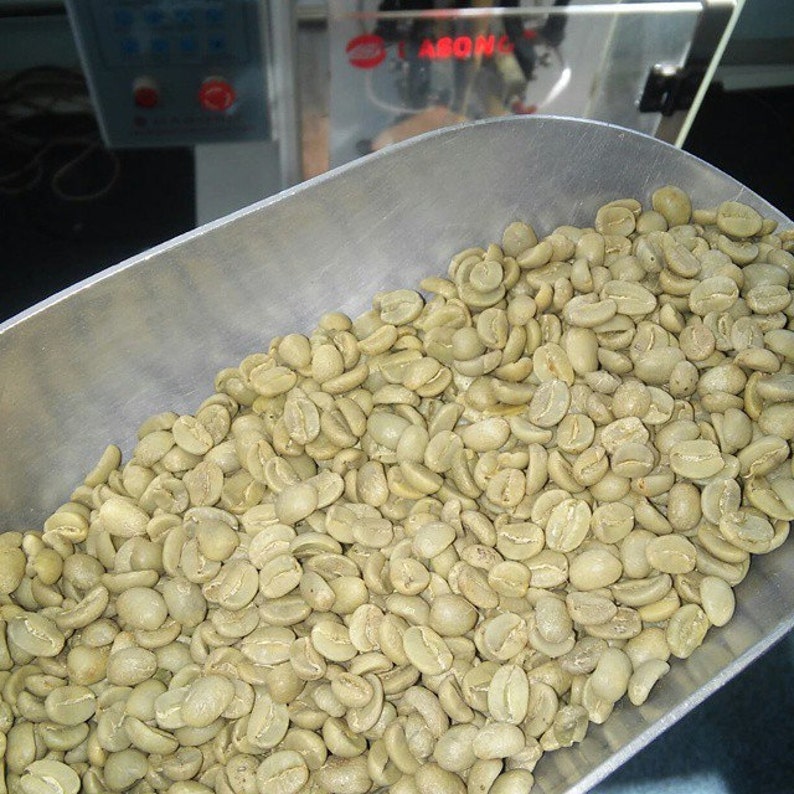 Jamaican Blue Mountain Coffee Beans green premium Coffee gourmet