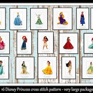 Könnte beinhalten: Eine Sammlung von 16 gerahmten Kreuzstichmustern mit Disney-Prinzessinnen. Jeder Rahmen zeigt eine andere Prinzessin in voller Figur vor weißem Hintergrund mit einer kleinen Textbeschreibung unter dem Bild.