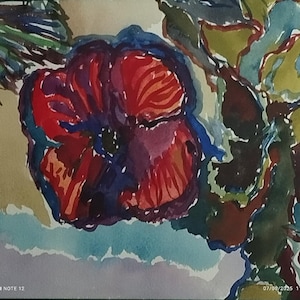paintings