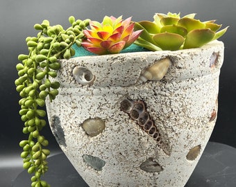 Garden Planter with a Beachy Vibe. Great for Succulents!!